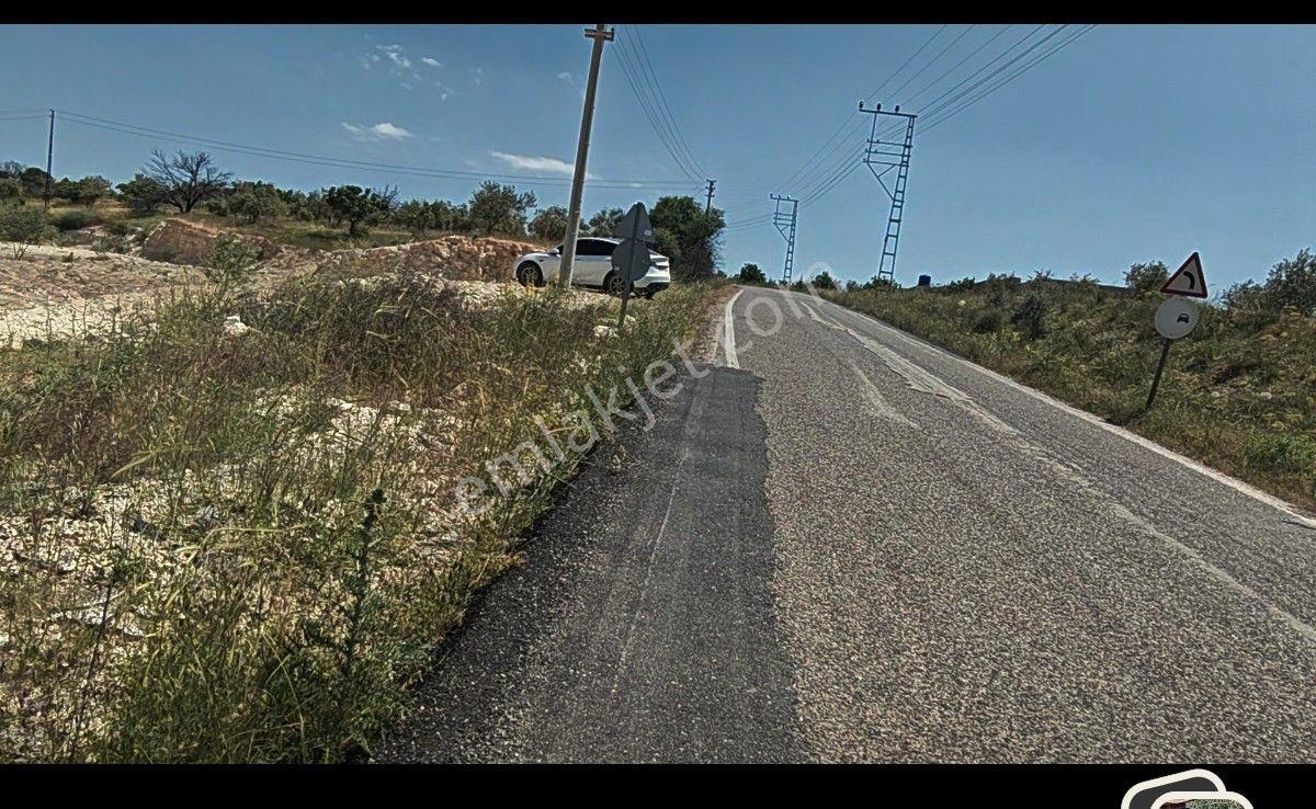Oğuzeli Subaşı Da Zeytinlik - Görsel 9