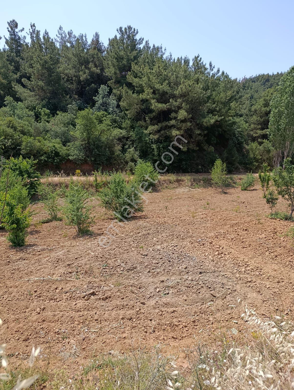 Manisa Turgutlu Bozkır Mahalesinde Satılık - Görsel 4