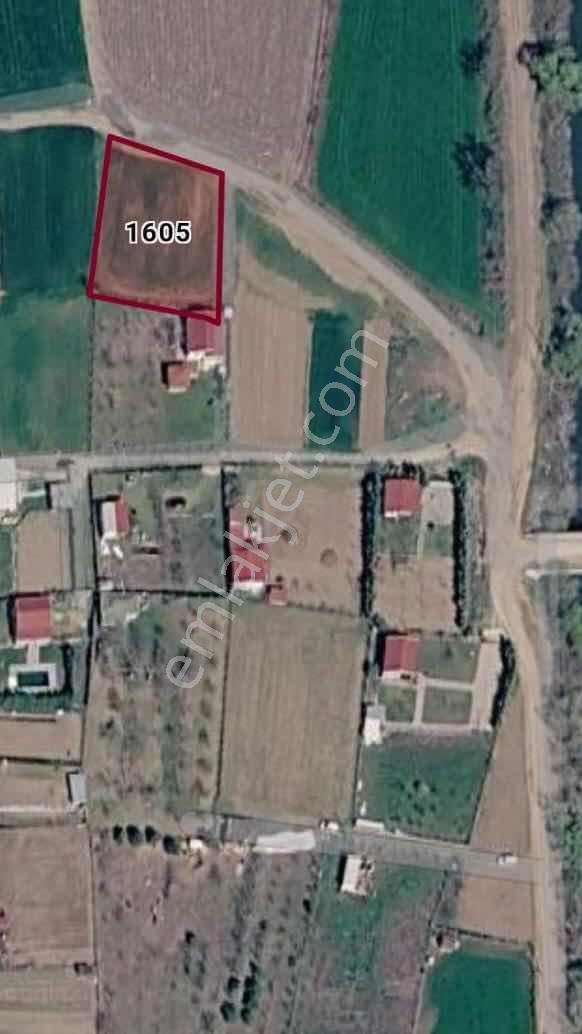 Edirne Merkez Değirmen Yenide Satılık Tek Tapu 962 M2 - Görsel 3