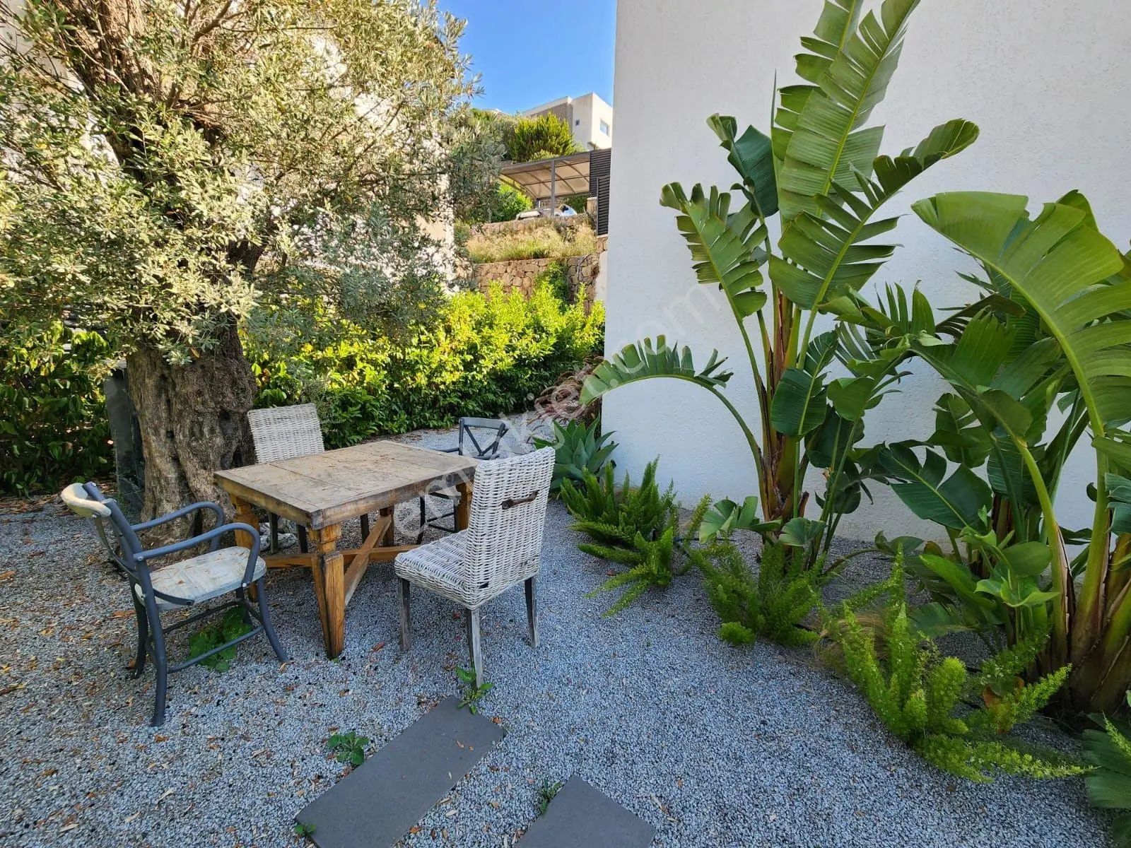 Bodrum Turgutreis De Kiralık Müstakil Havuzlu Villa - Görsel 5