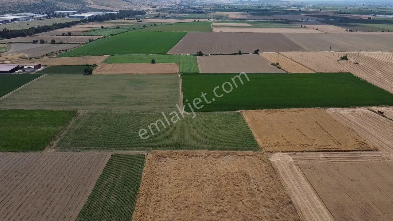 A Plus Gayrimenkulden 16.720 M2 Tire Osb Yakını Verimli Tarla​ - Görsel 3