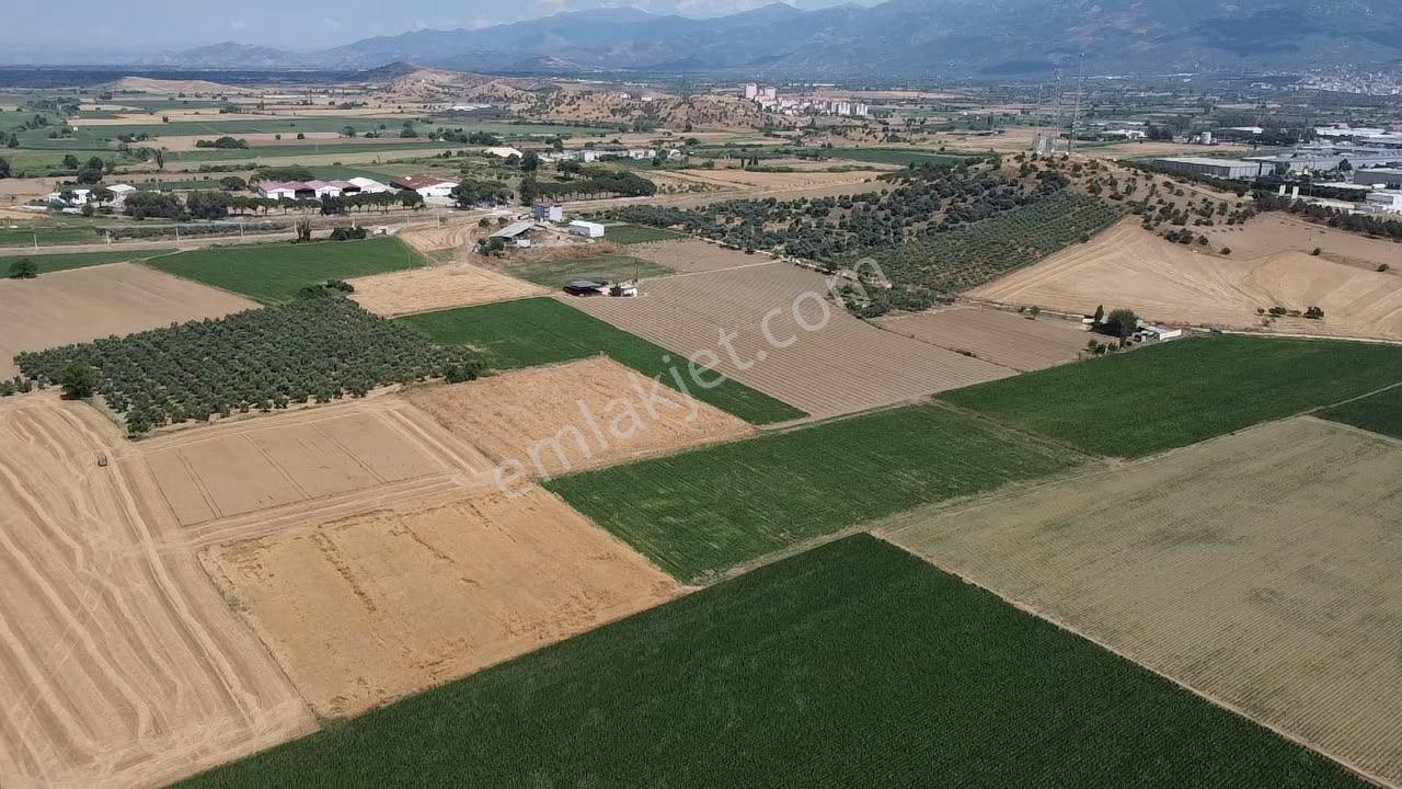 A Plus Gayrimenkulden 16.720 M2 Tire Osb Yakını Verimli Tarla​ - Görsel 6