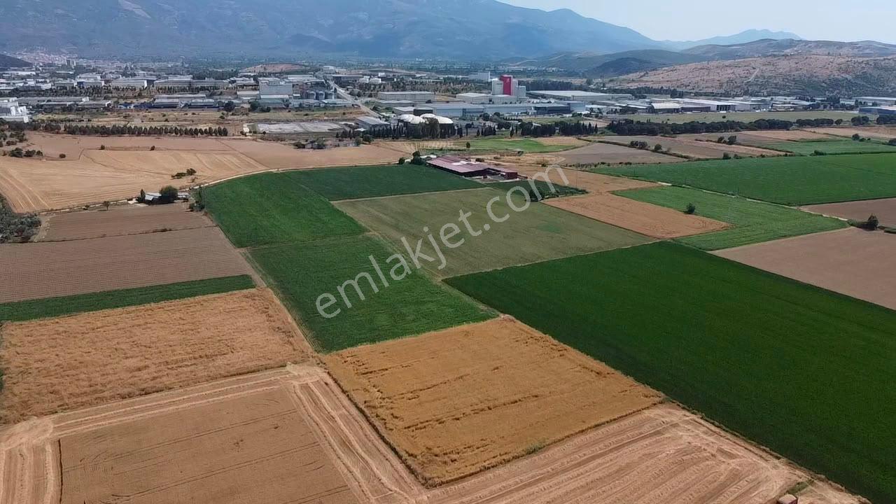 A Plus Gayrimenkulden 16.720 M2 Tire Osb Yakını Verimli Tarla​ - Görsel 4
