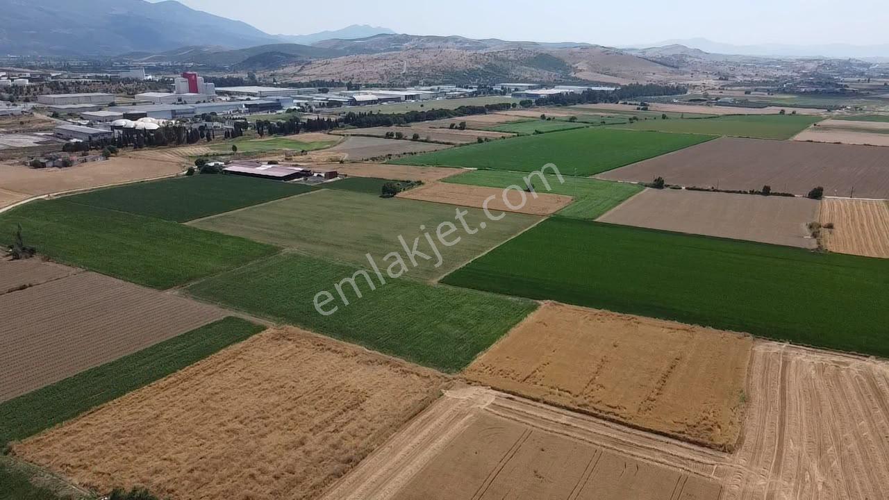 A Plus Gayrimenkulden 16.720 M2 Tire Osb Yakını Verimli Tarla​ - Görsel 10
