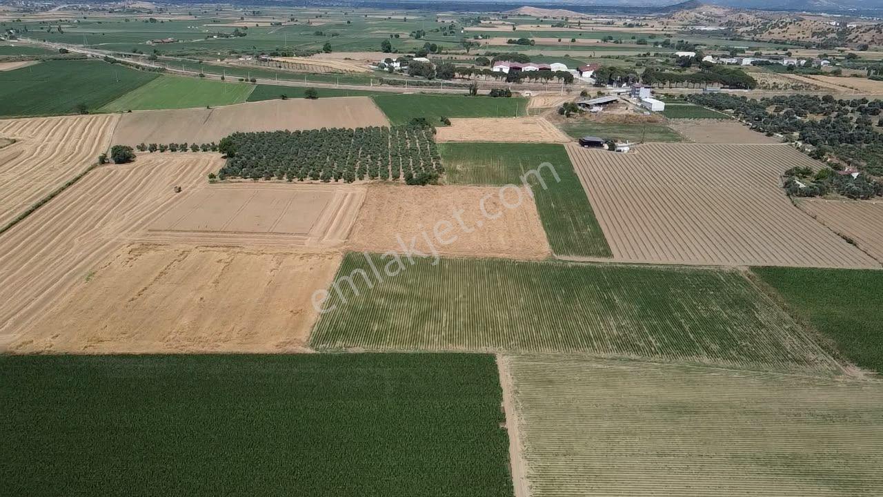 A Plus Gayrimenkulden 16.720 M2 Tire Osb Yakını Verimli Tarla​ - Görsel 7