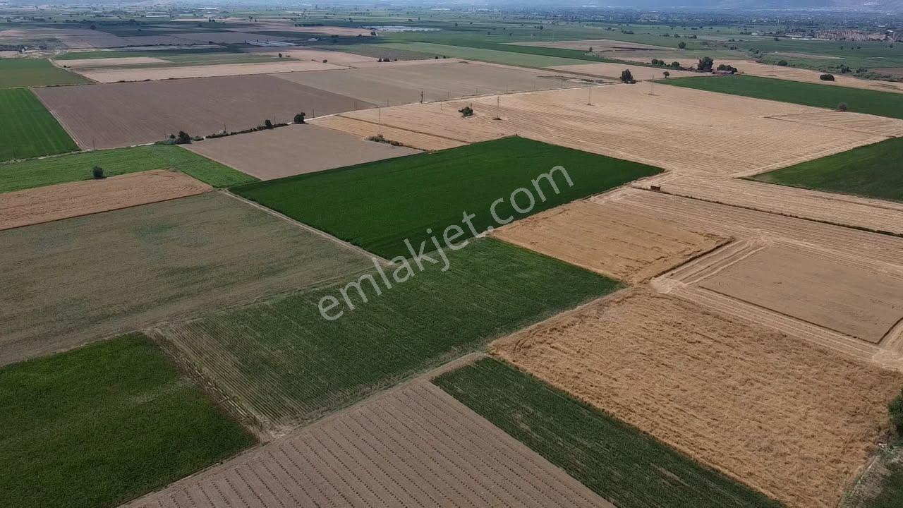 A Plus Gayrimenkulden 16.720 M2 Tire Osb Yakını Verimli Tarla​ - Görsel 2