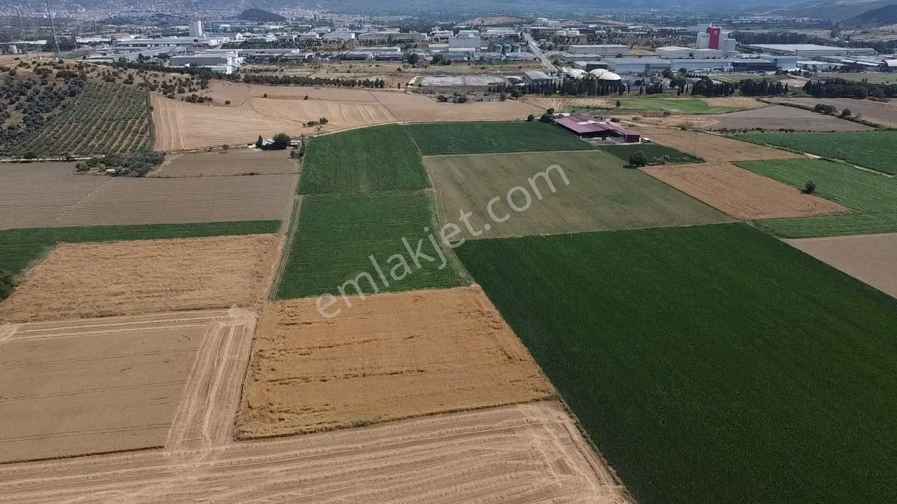 A Plus Gayrimenkulden 16.720 M2 Tire Osb Yakını Verimli Tarla​ - Görsel 5