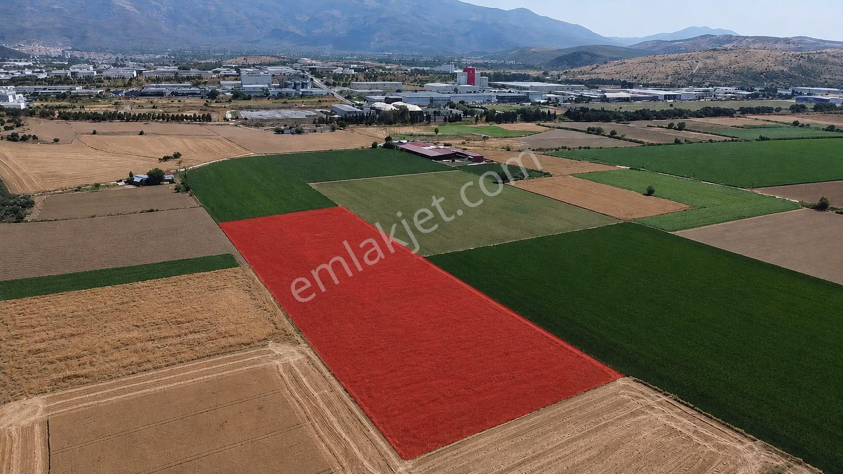 A Plus Gayrimenkulden 16.720 M2 Tire Osb Yakını Verimli Tarla​