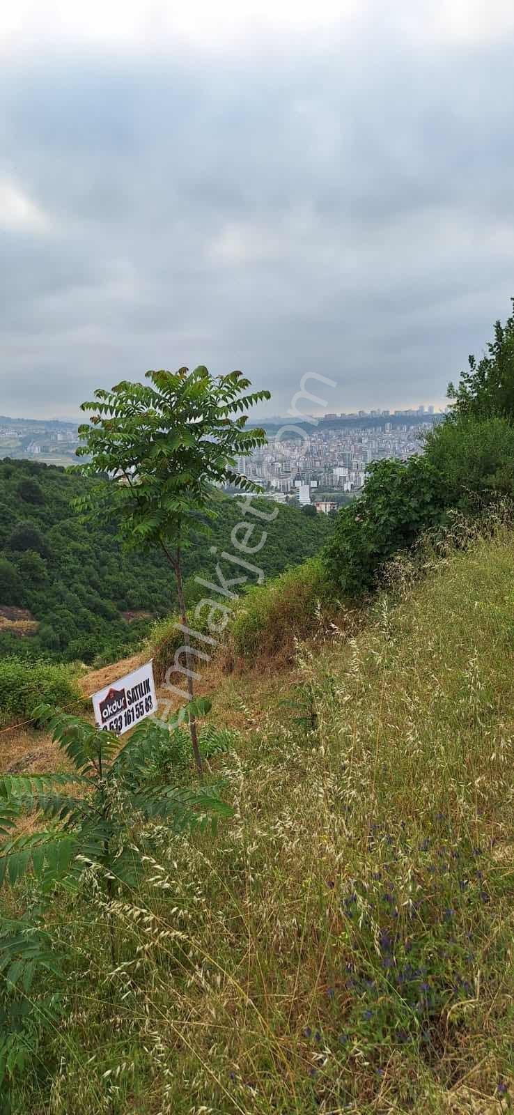 Akdur Dan Canik Hacı İsmail Villalık Arsa - Görsel 2