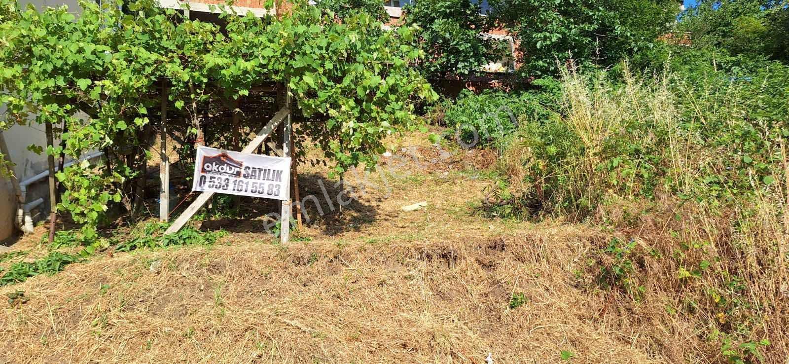 Akdur Dan Canik Teknepınar Mah. Kelepir Arsa - Görsel 10