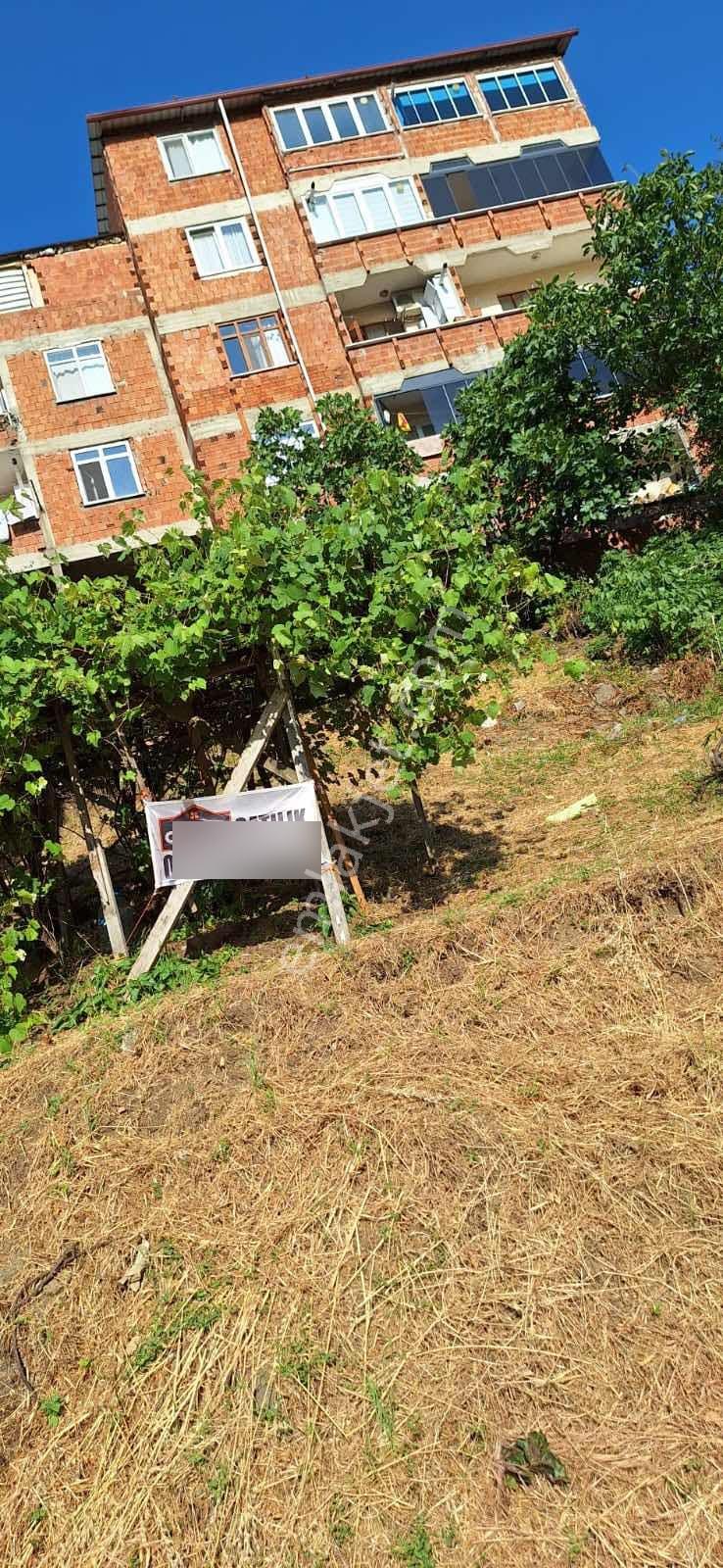 Akdur Dan Canik Teknepınar Mah. Kelepir Arsa - Görsel 16