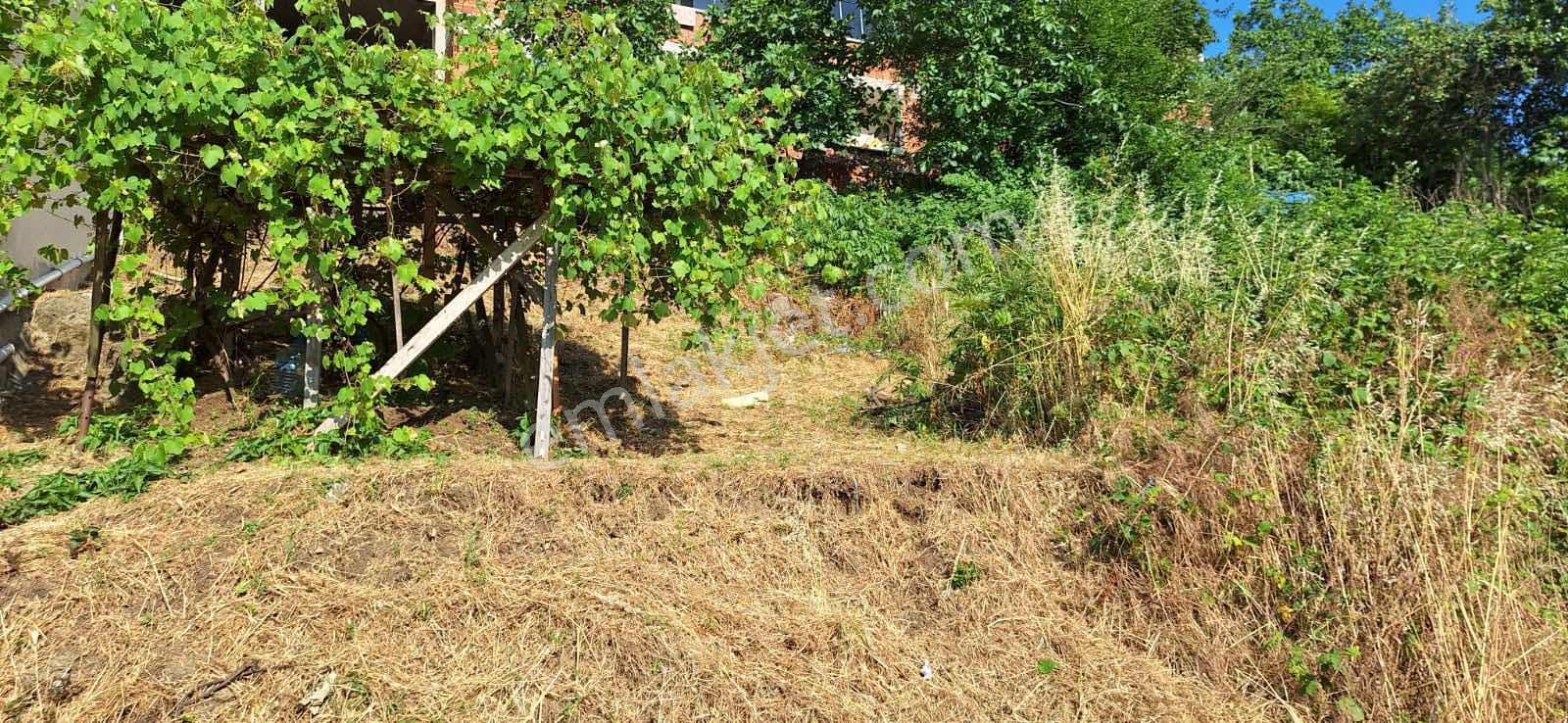 Akdur Dan Canik Teknepınar Mah. Kelepir Arsa - Görsel 5