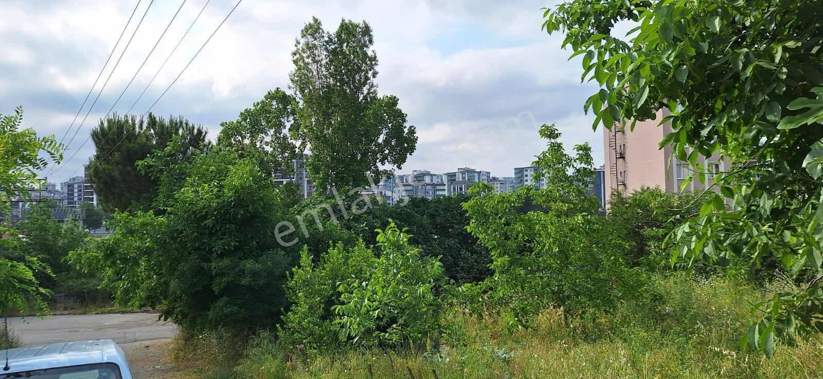 Akdur Dan Canik Te Kelepir Arsa - Görsel 23