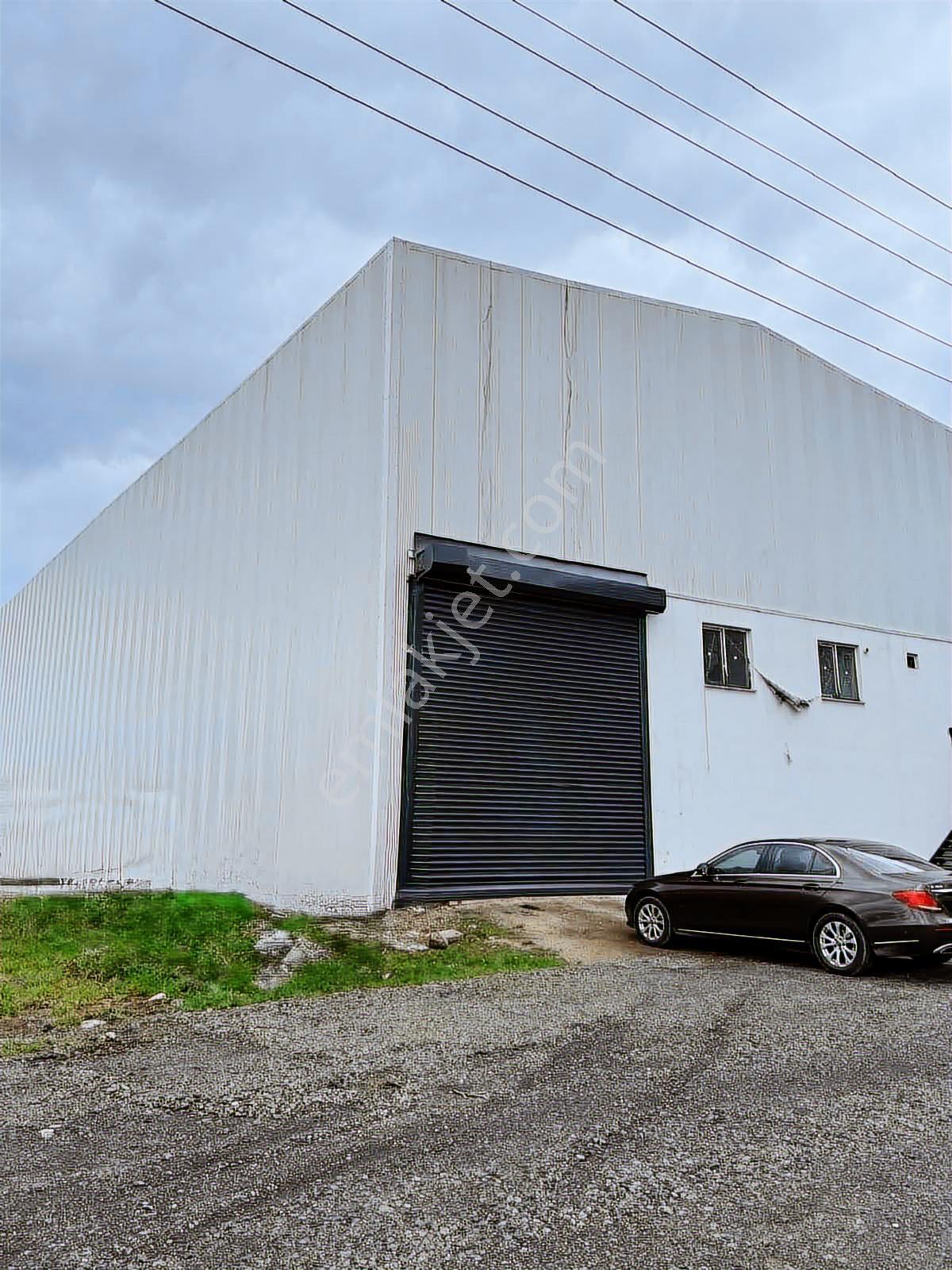 Akdur Dan Tekkeköy Kerimbey De 900 M2 İskanlı Depo - Görsel 10