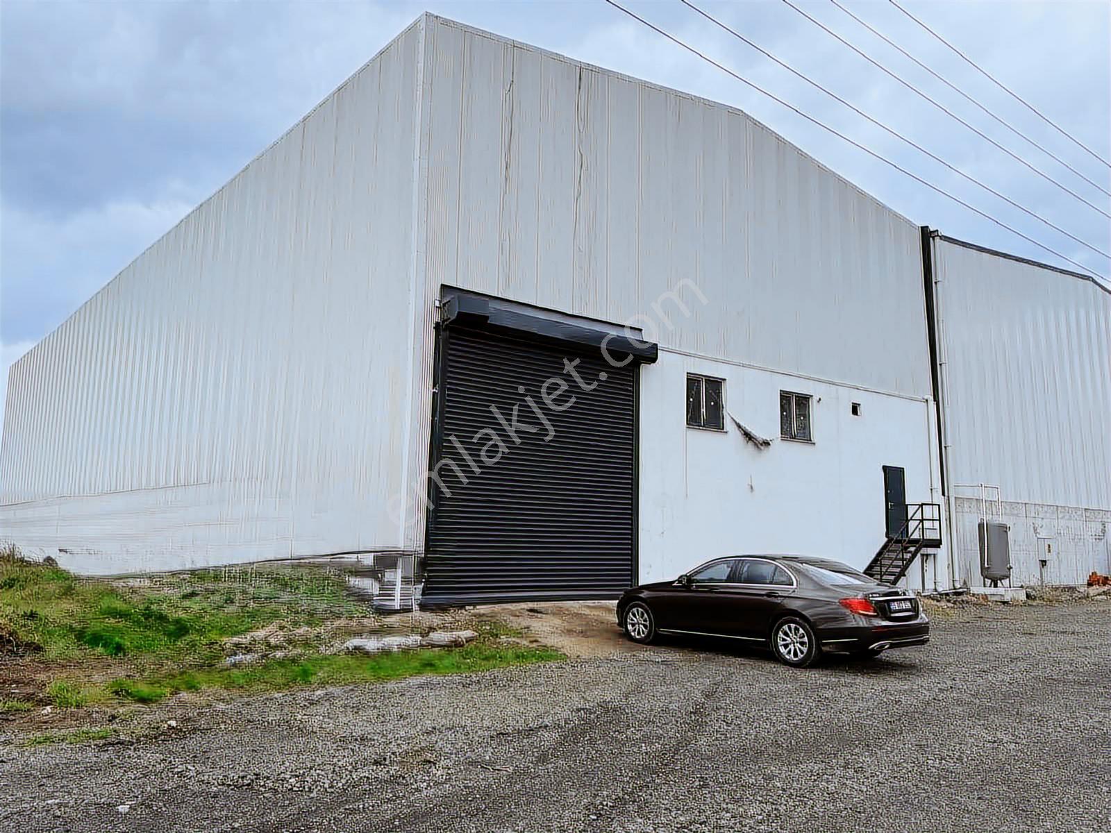 Akdur Dan Tekkeköy Kerimbey De 900 M2 İskanlı Depo