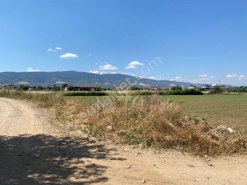 Hb'den Satılık Tarla, 2 Cephesi Kadastral Yol, Köşe Konum - Görsel 5