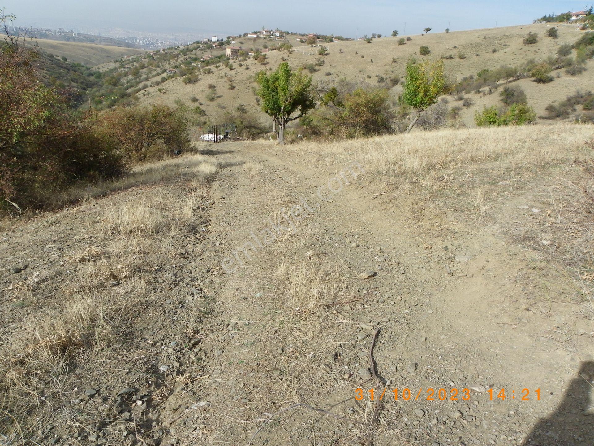 Çankaya Yakupabdalda 217 Metre Ana Caddeye Yakın Satılık Arsa - Görsel 20