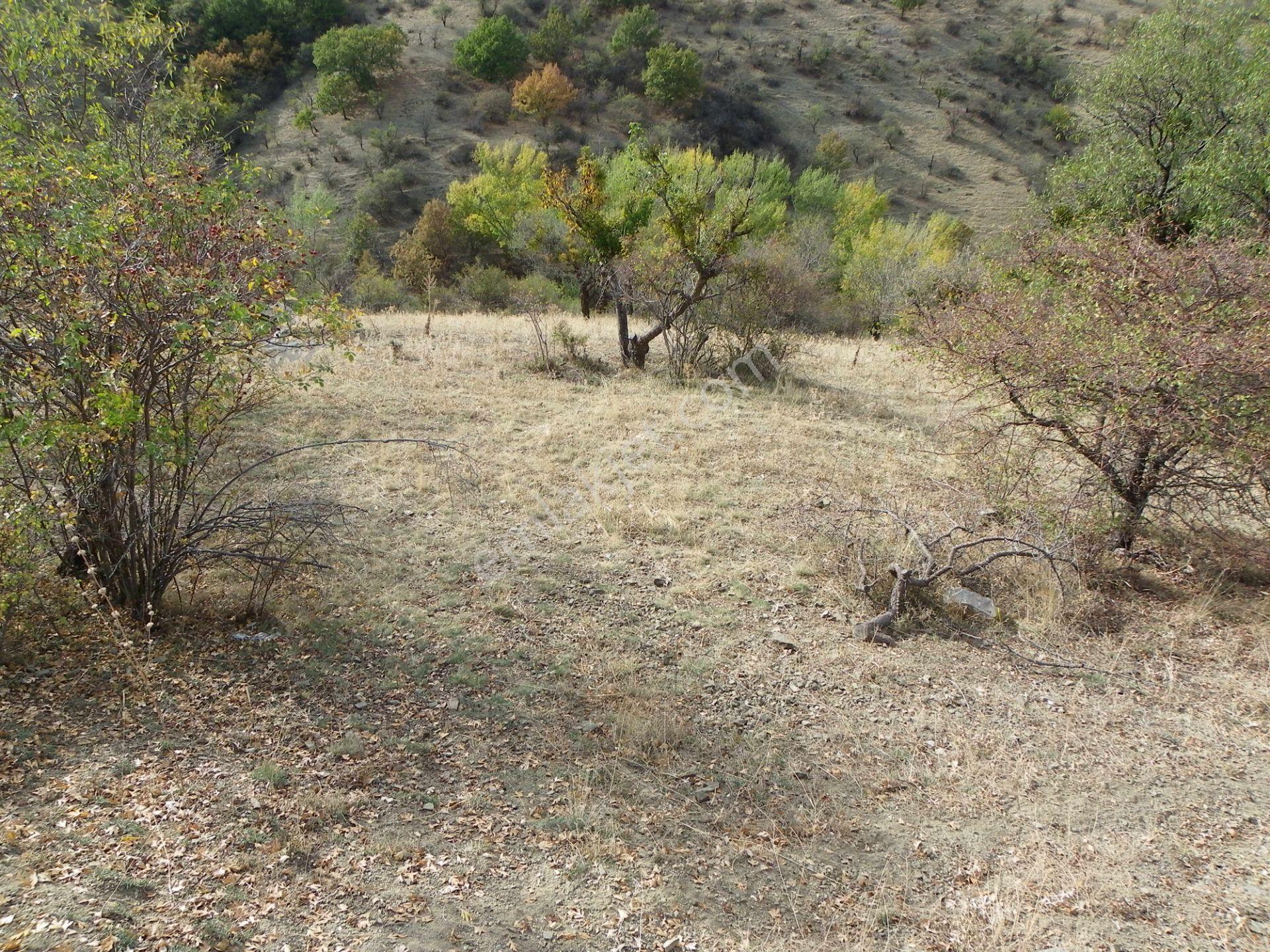 Çankaya Yakupabdalda 217 Metre Ana Caddeye Yakın Satılık Arsa - Görsel 13