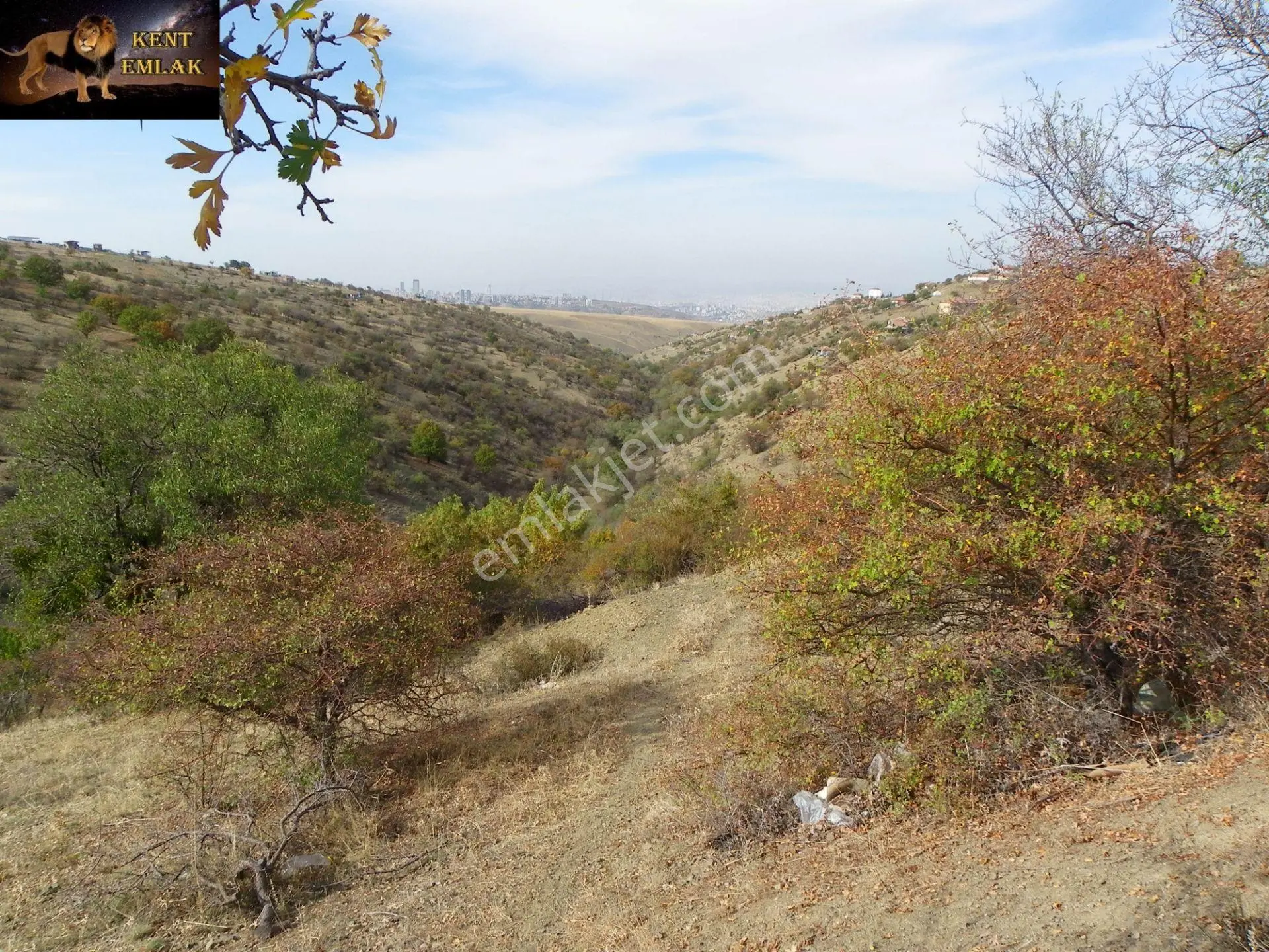Çankaya Yakupabdalda 217 Metre Ana Caddeye Yakın Satılık Arsa