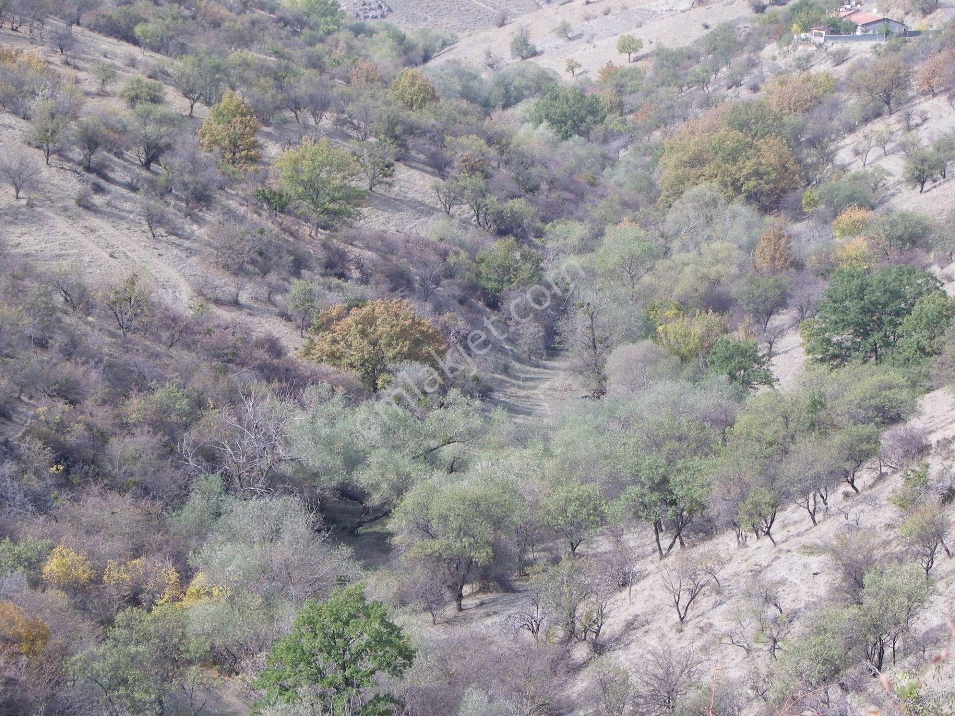 Çankaya Yakupabdalda 217 Metre Ana Caddeye Yakın Satılık Arsa - Görsel 12