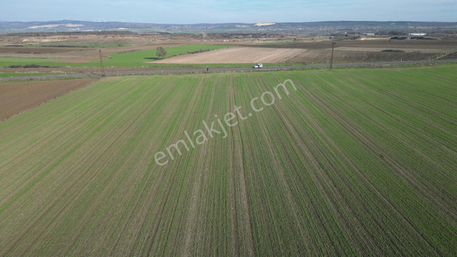 Tekirdağ Saray Edirköyde 26.077 M² Tek Tapu Tarla - Görsel 10