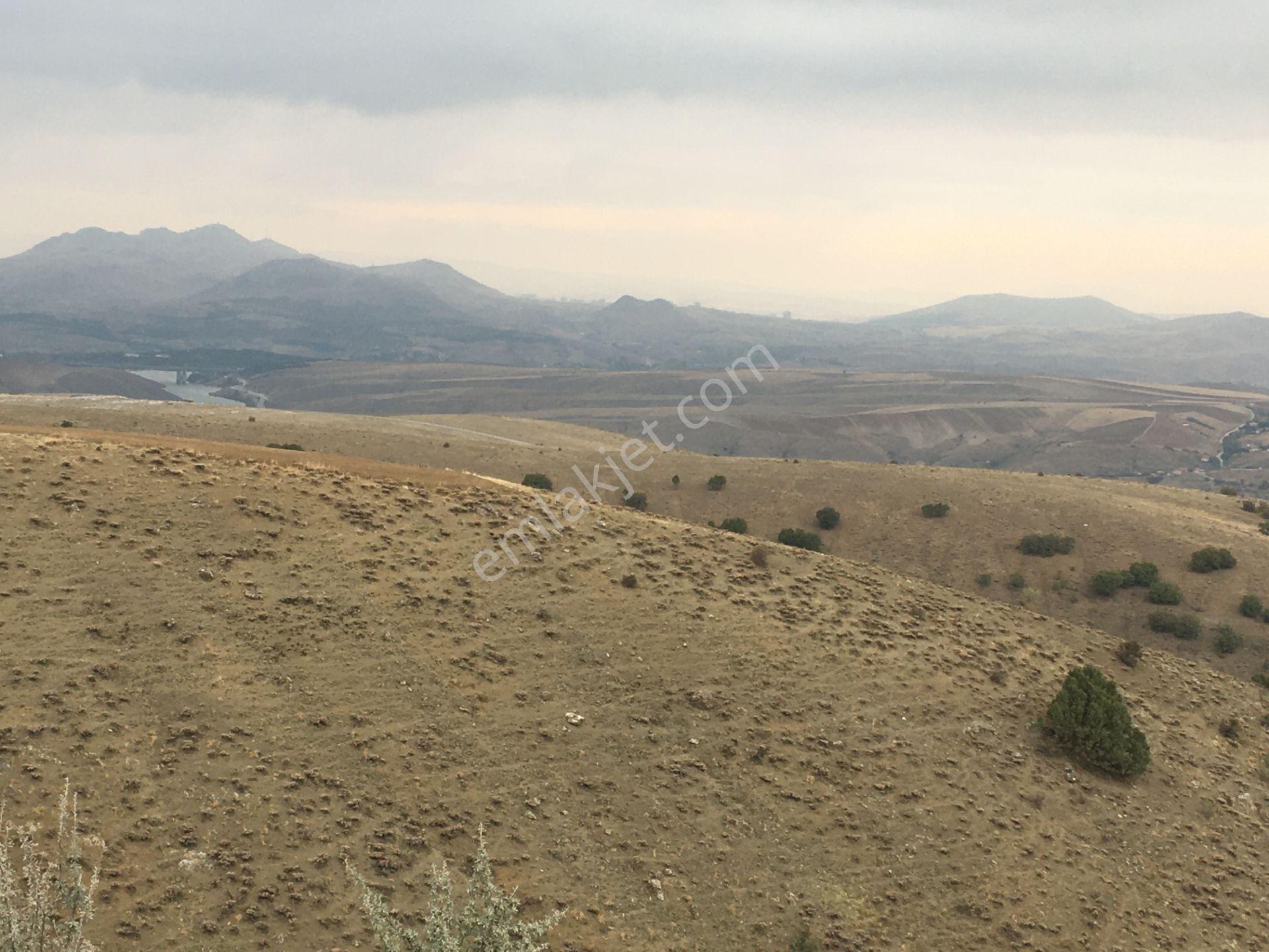 Kutlu Düğünde 346 Metre Yatırımlık Satılık Arsa - Görsel 6