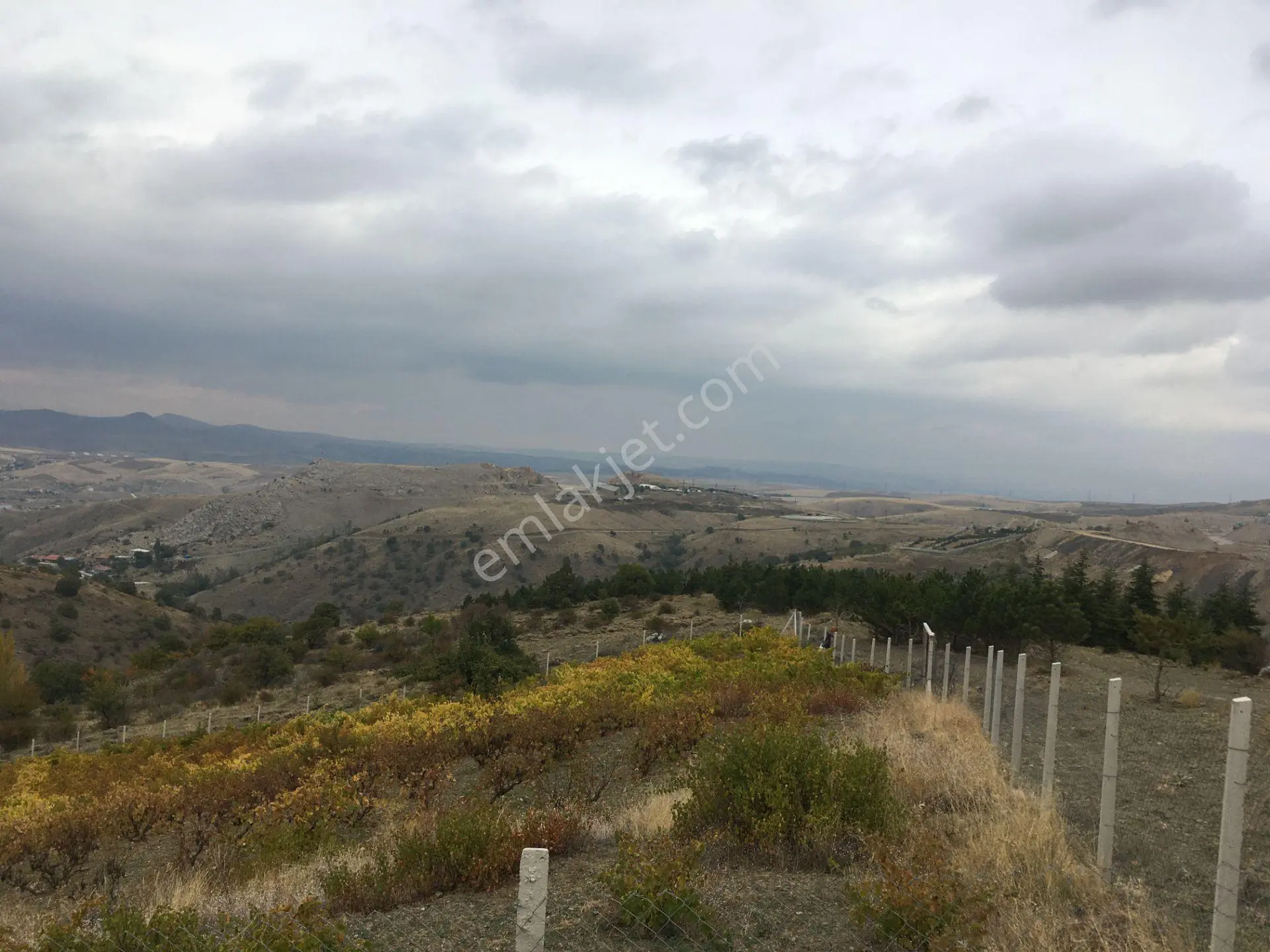 Kutlu Düğünde 346 Metre Yatırımlık Satılık Arsa - Görsel 2