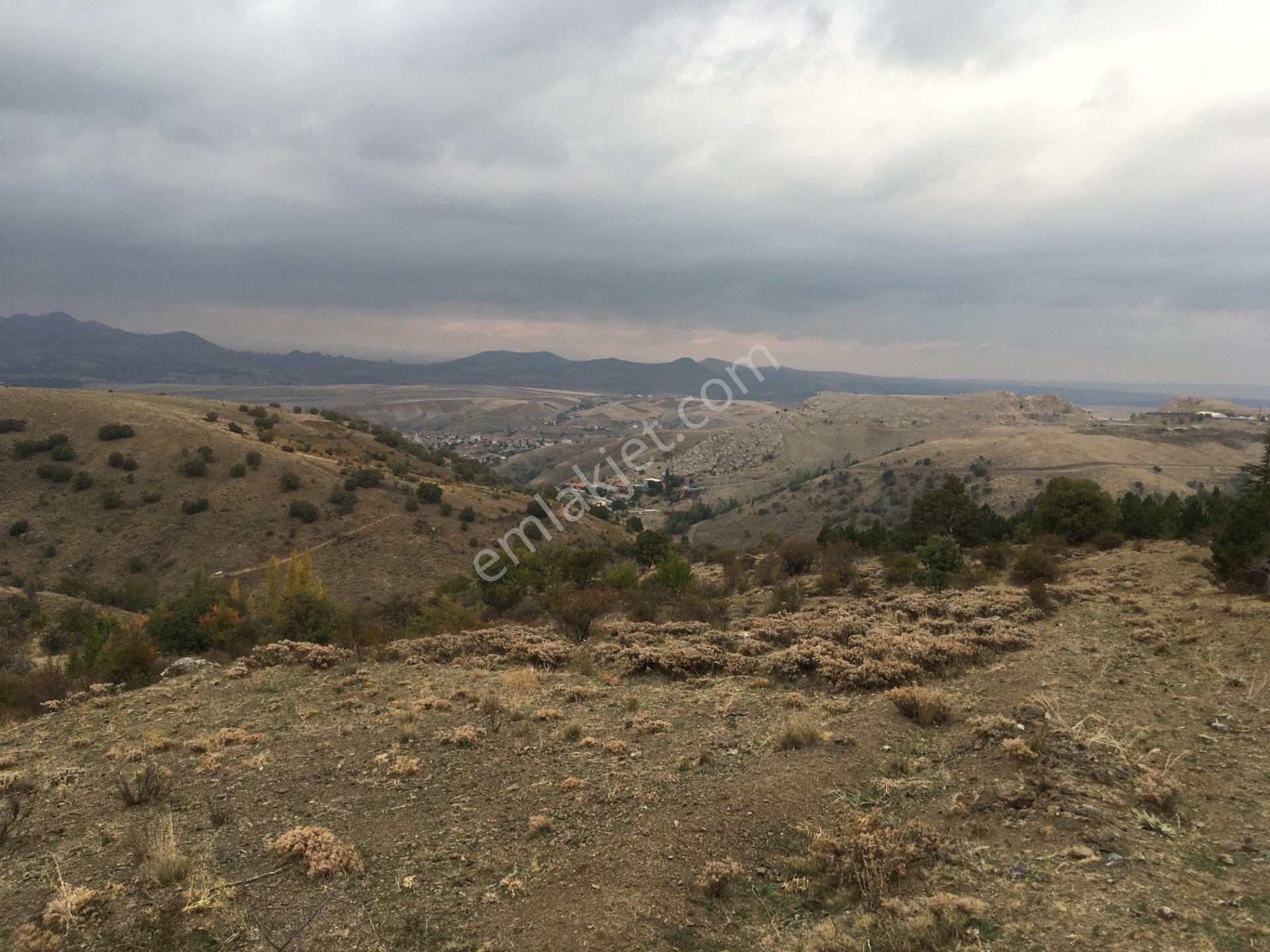 Kutlu Düğünde 346 Metre Yatırımlık Satılık Arsa - Görsel 8