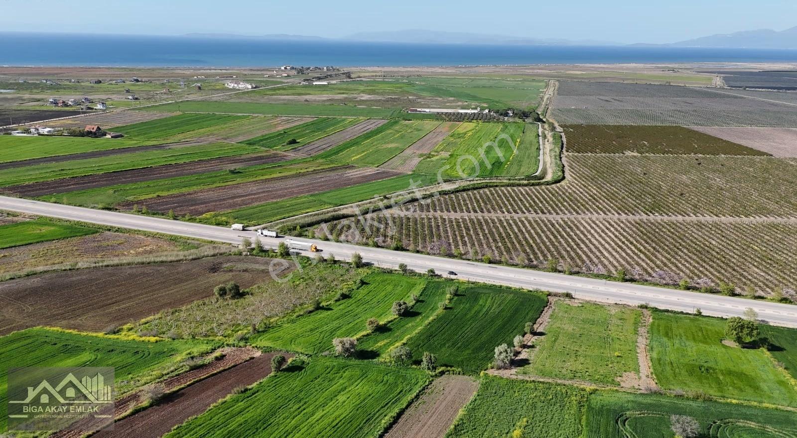 Balıkesir Gönen Çanakkale Bursa Karayoluna Cephe Satılık Arazi - Görsel 8