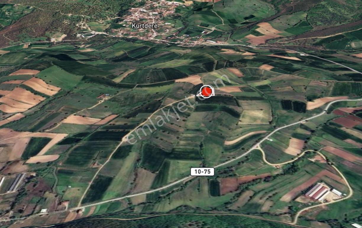 Armutalan Mah. De Köy Merkezine Yakın Yola Cephe 3100 M2 Tarla - Görsel 3