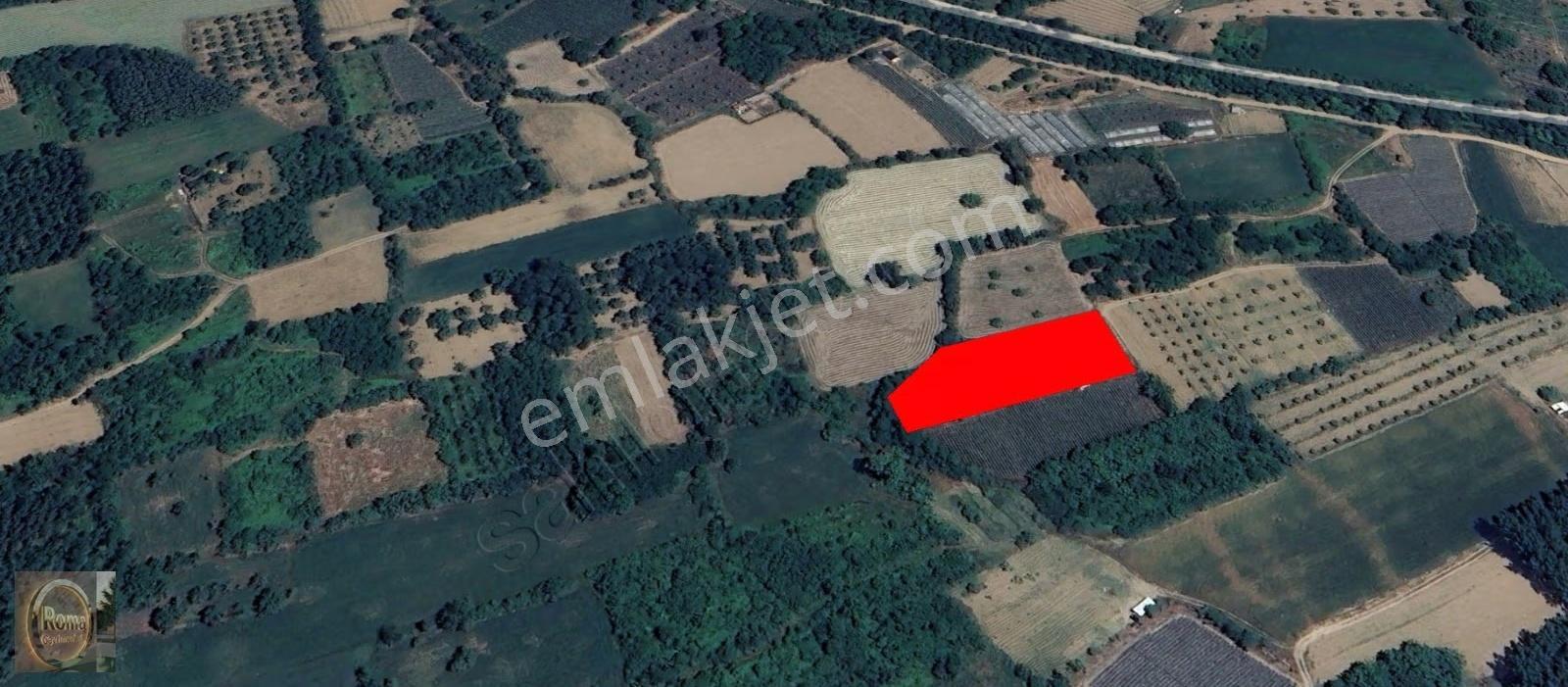 Roma' Dan Kurşunlu Mahallesi' Nde Satılık Tarla - Görsel 2