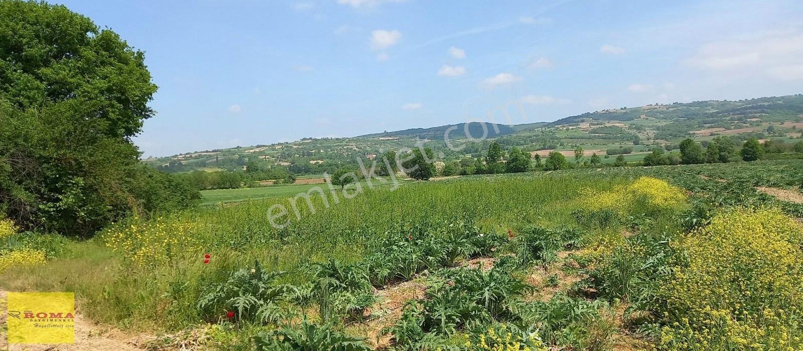 Roma' Dan Süpürtü Mh' De Satılık Tarla - Görsel 7