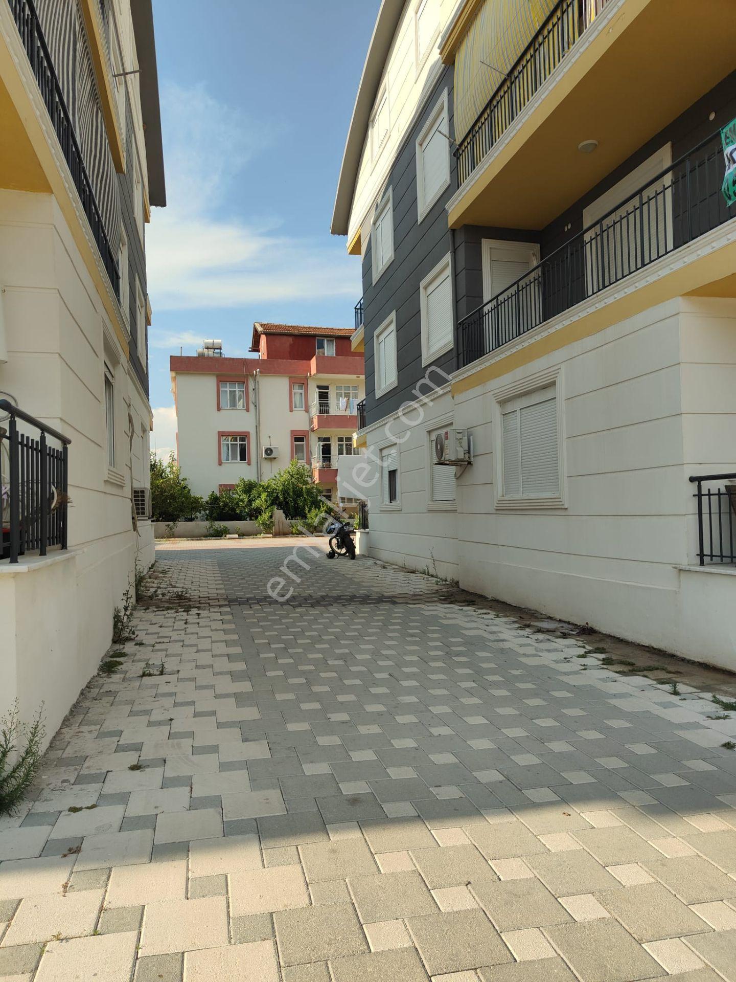 Güney Cepheli, Bakımlı, Lüks Katta Daire - Görsel 4