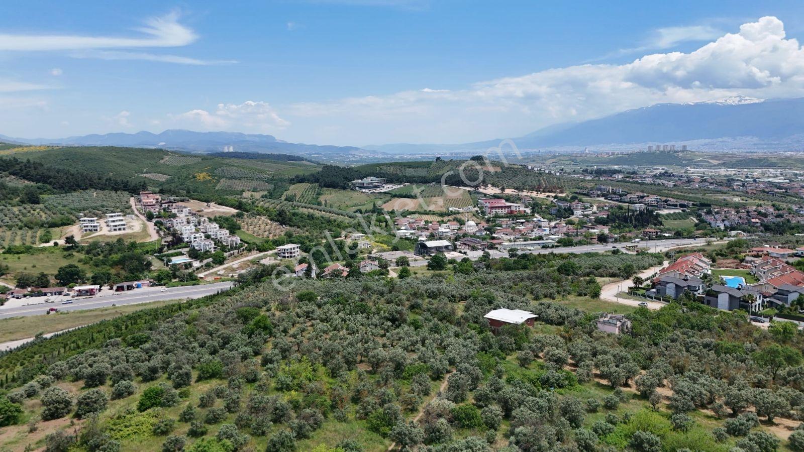 Remax Advantage Den Çağrışanda Villa İmarli Satılık Arsa - Görsel 15