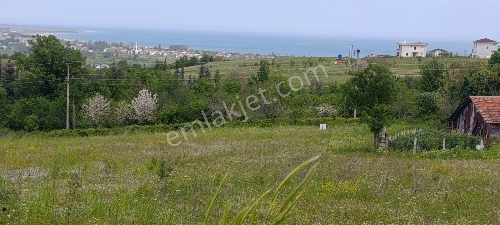 Projesi Hazır Villa İmarlı Arsa - Görsel 15