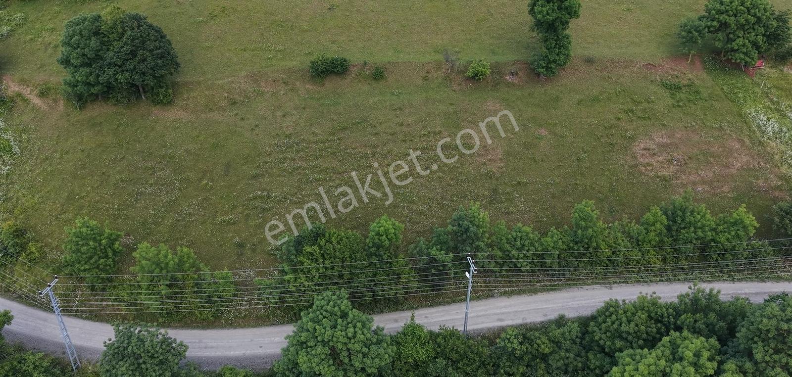 Samsun 19 Mayıs Kertme'de Köyiçi Yerleşik Alanında Satılık Arsa! - Görsel 2