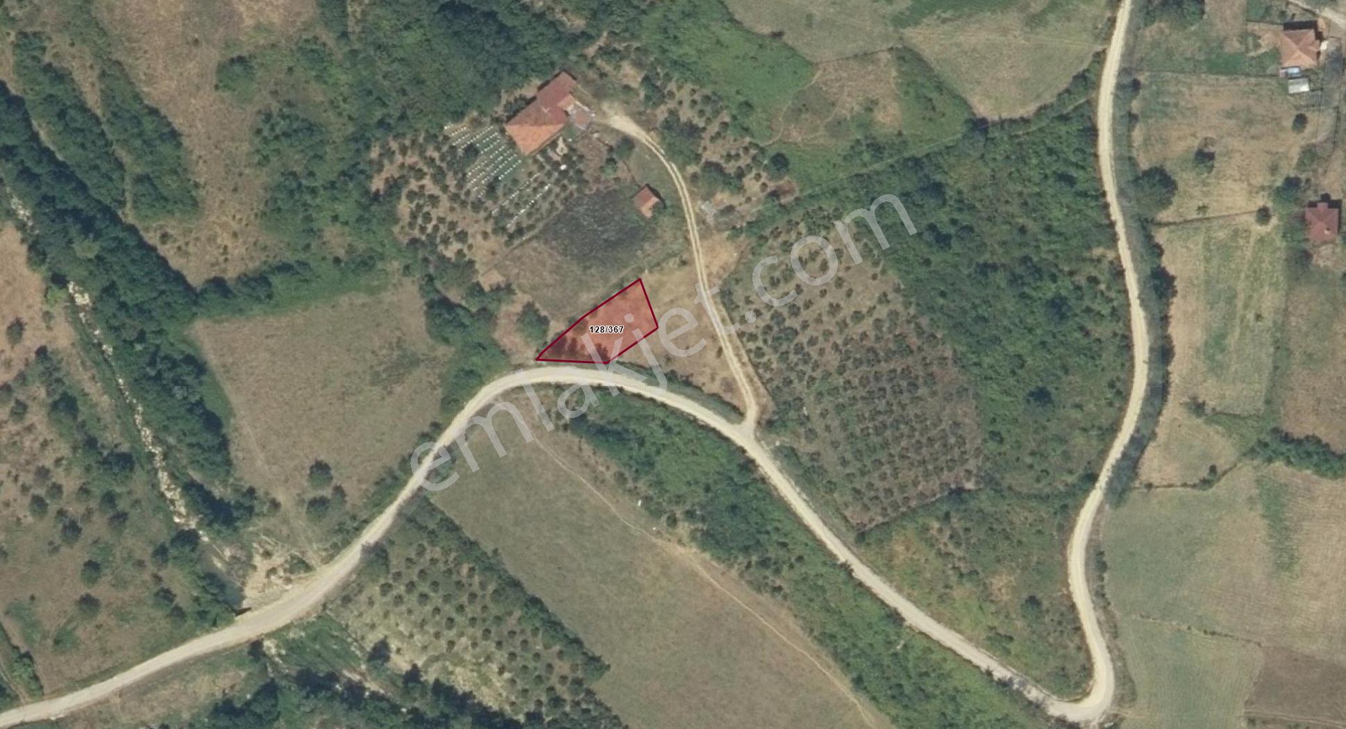 🔥 Köy Yerleşik Alanında! Yola Cepheli 510 M² Satılık Arsa | Sinop Şerefiye
