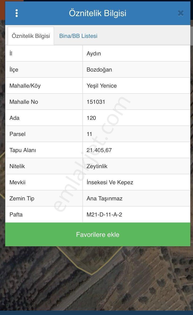 Bozdoğan Yeşil Yenicede Satılık Zeytinlik - Görsel 6