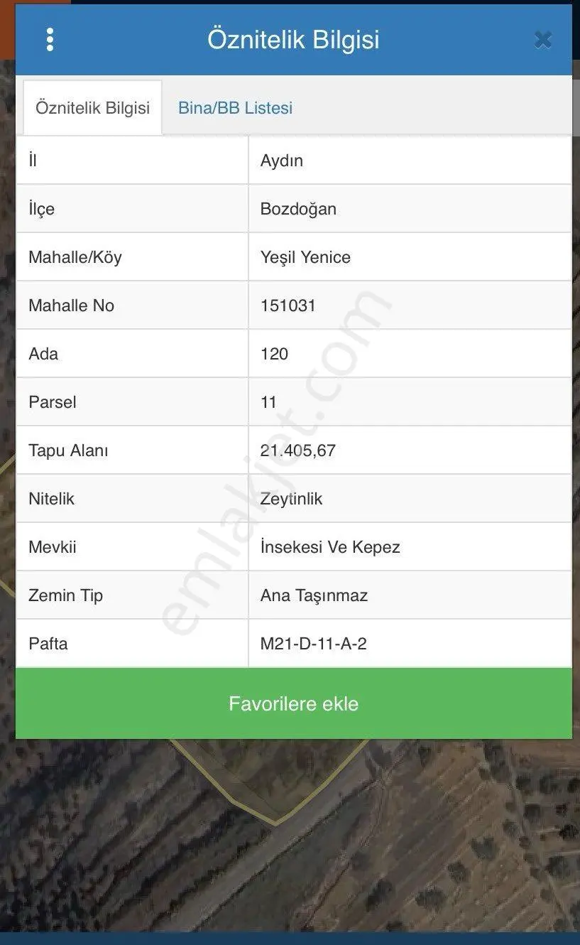 Bozdoğan Yeşil Yenicede Satılık Zeytinlik - Görsel 4