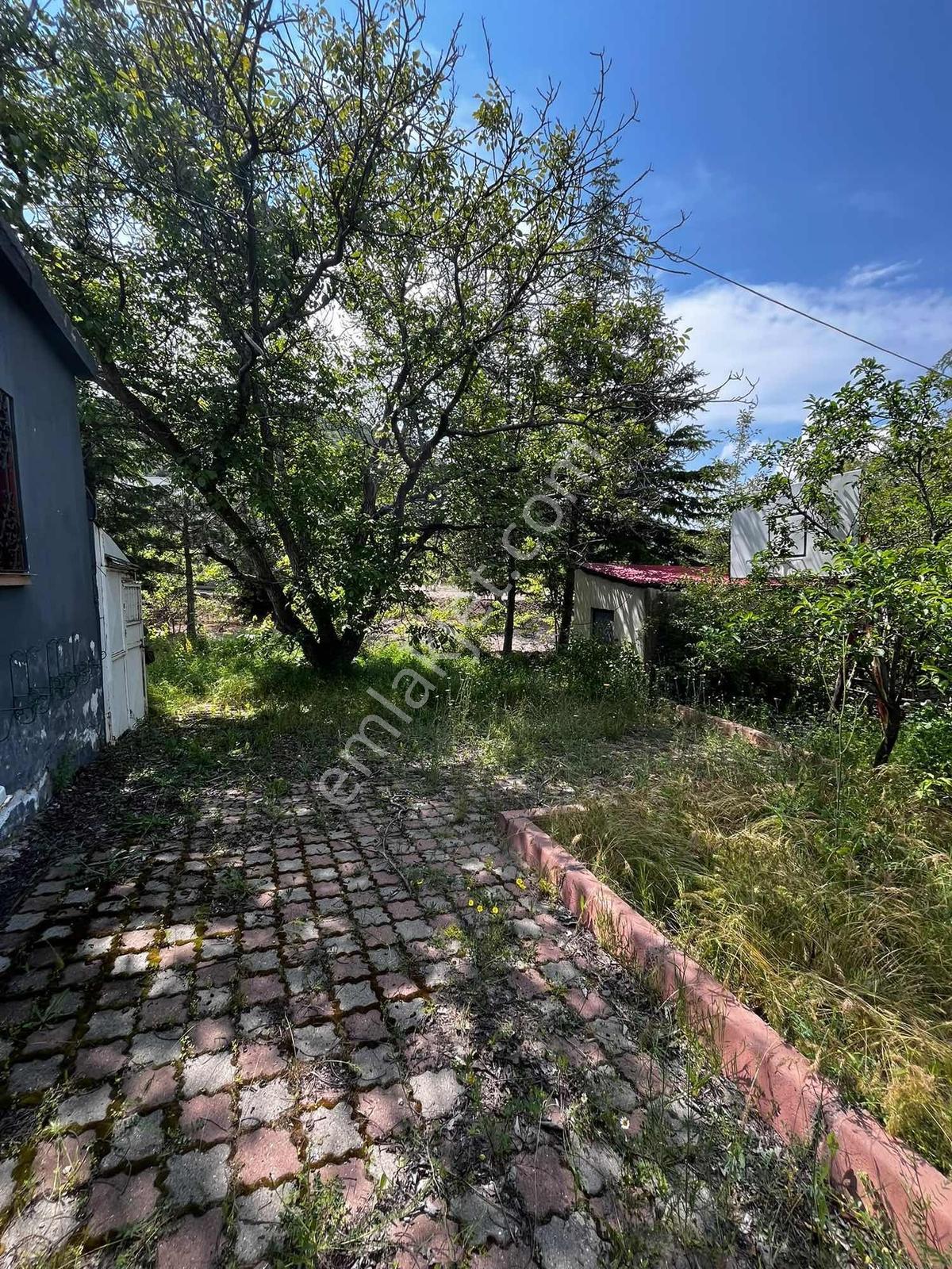 Kiralık Bağ Evi 1700 M2 Arsalı Beğendik'de - Görsel 5