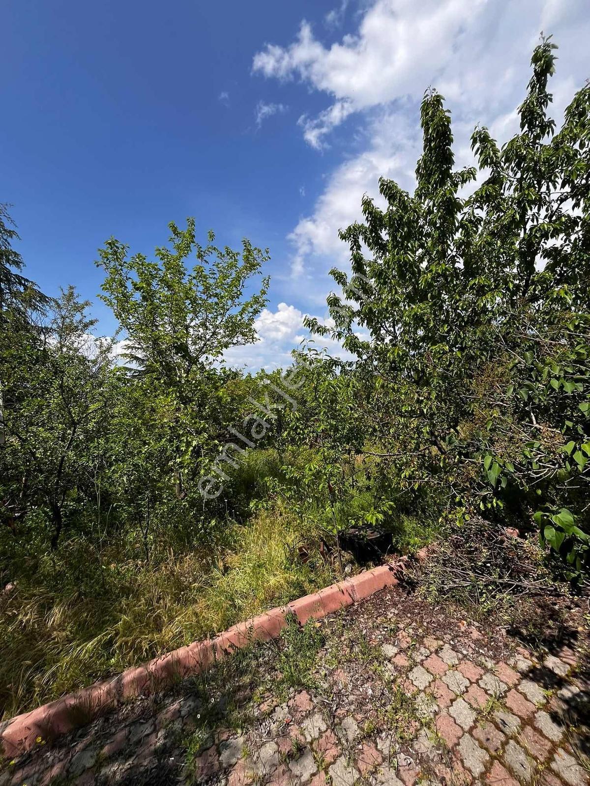 Kiralık Bağ Evi 1700 M2 Arsalı Beğendik'de - Görsel 12