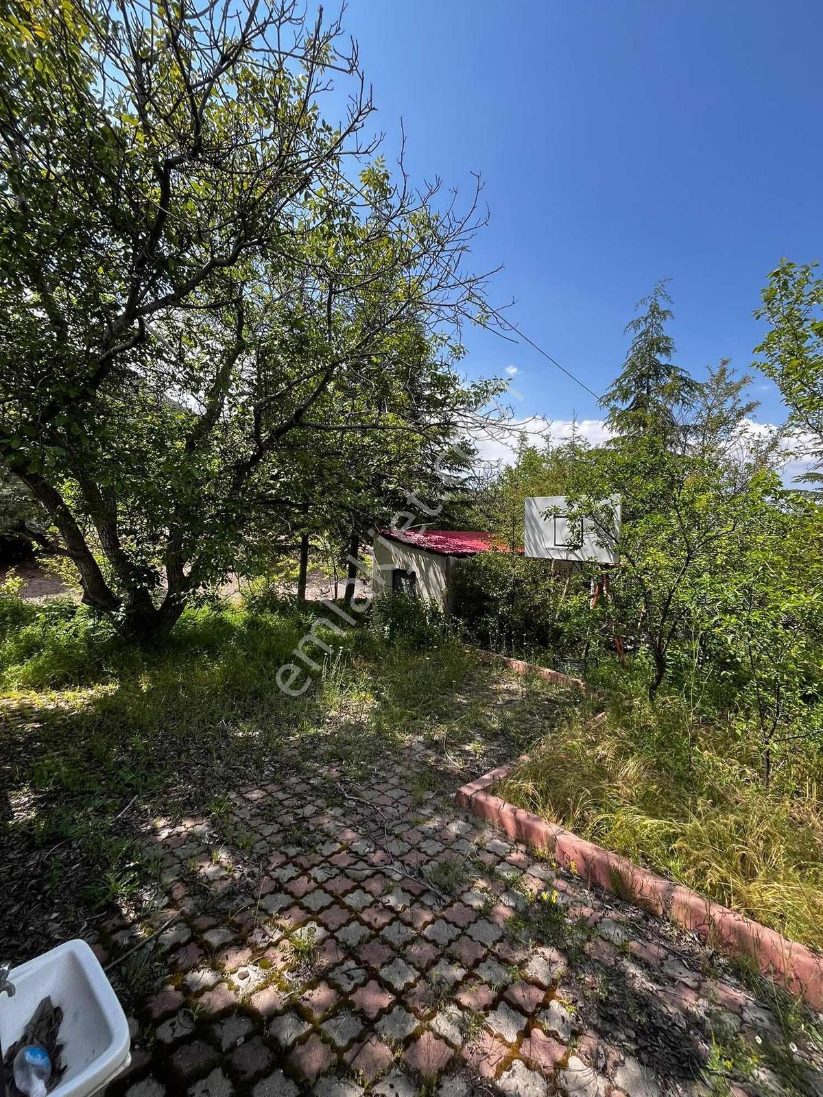 Kiralık Bağ Evi 1700 M2 Arsalı Beğendik'de - Görsel 4