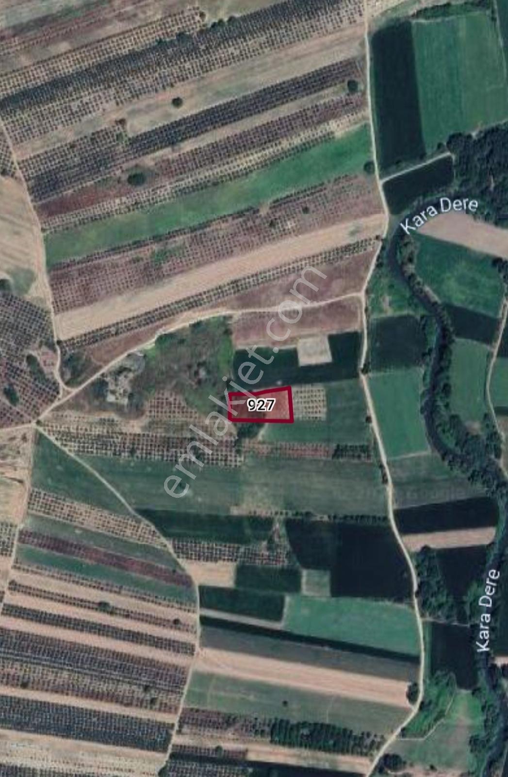 Karacabey İsmetpaşa'da 3.550 M² Satılık Verimli Tarla