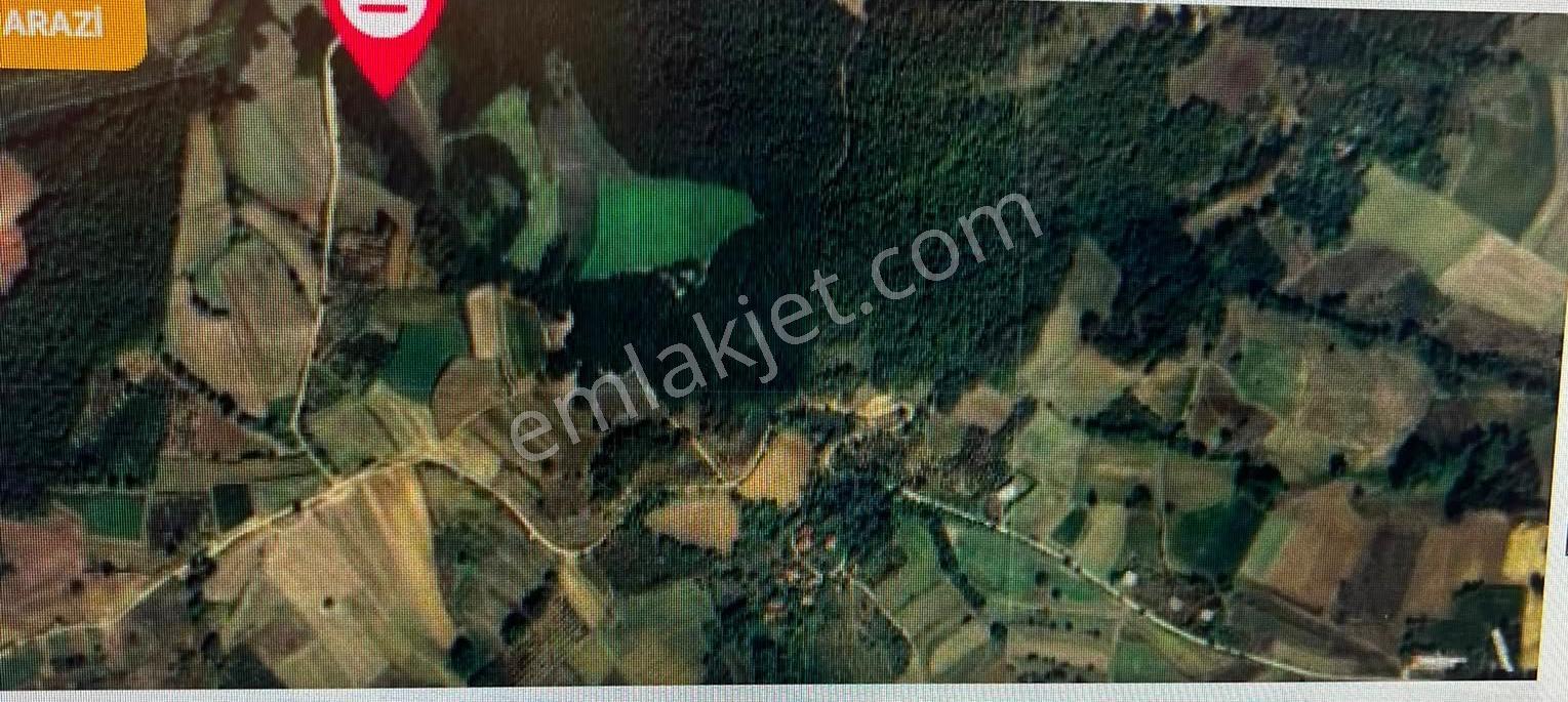 Sakarya Kaynarca Da Satılık 9 Dönüm Arsa - Görsel 4