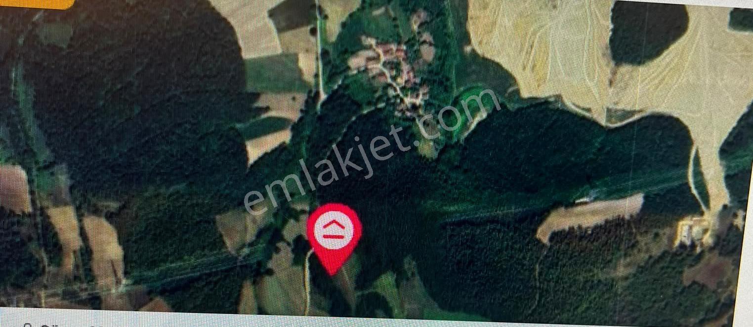 Sakarya Kaynarca Da Satılık 9 Dönüm Arsa - Görsel 6