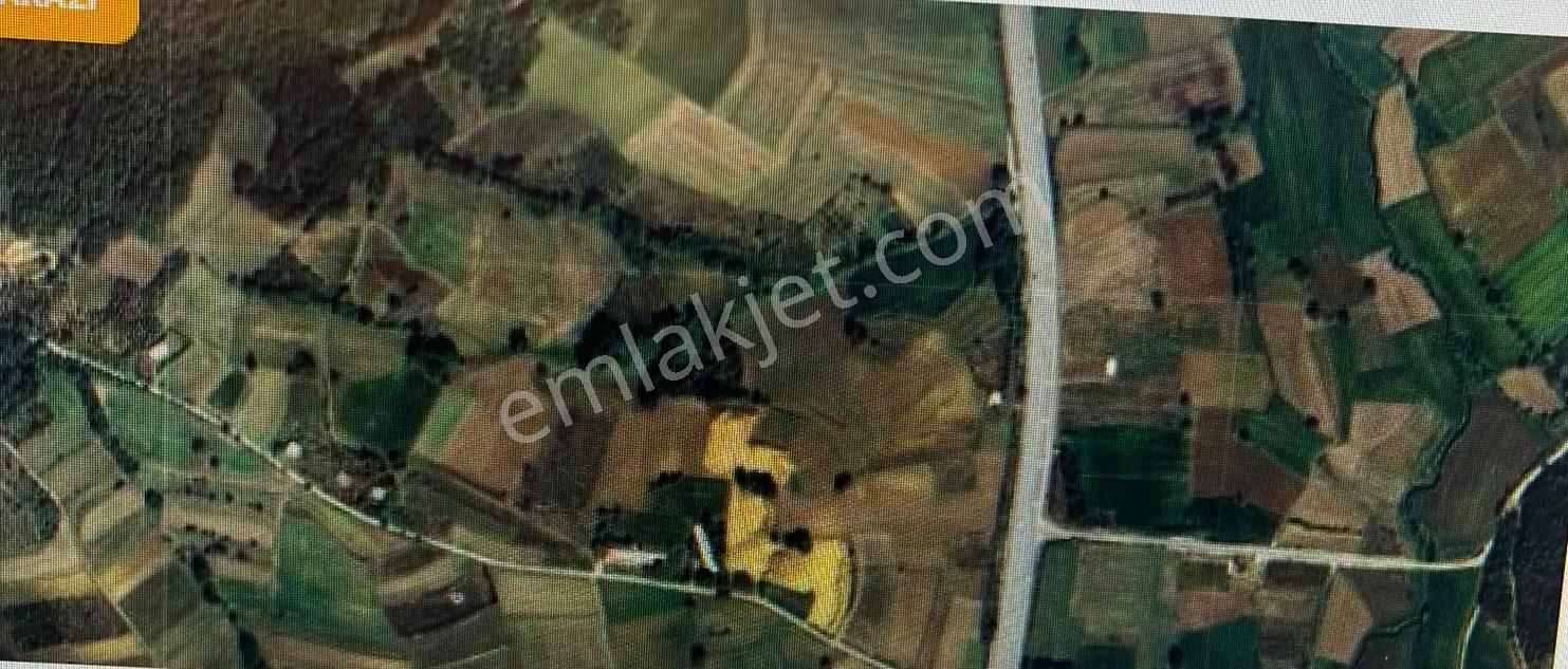 Sakarya Kaynarca Da Satılık 9 Dönüm Arsa - Görsel 3