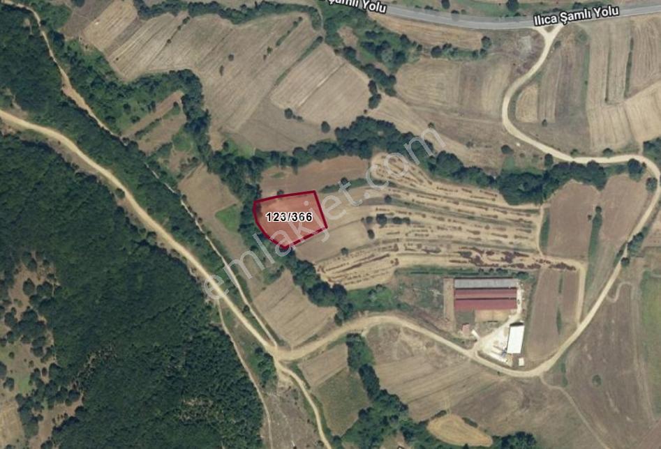 Armutalan Mah. De Köy Merkezine Yakın 3.103 M2 Tarla - Görsel 3