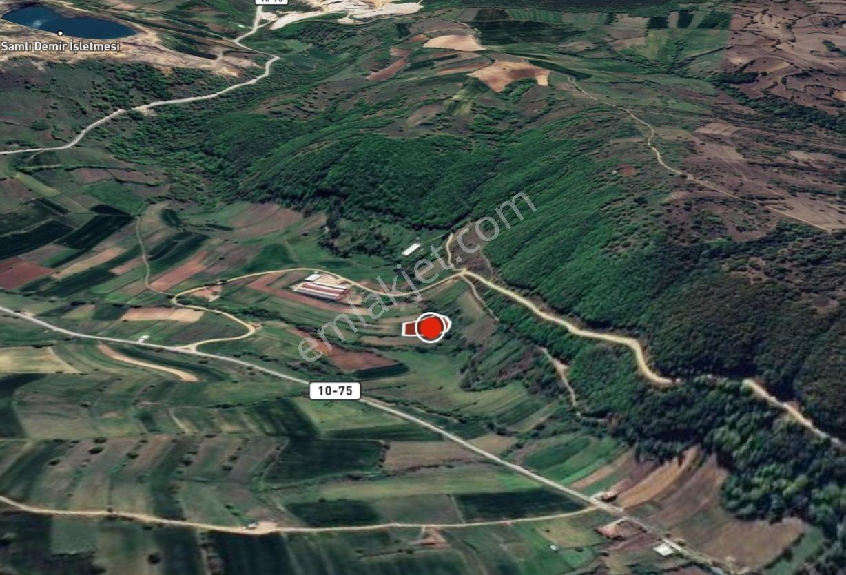 Armutalan Mah. De Köy Merkezine Yakın 3.103 M2 Tarla - Görsel 5