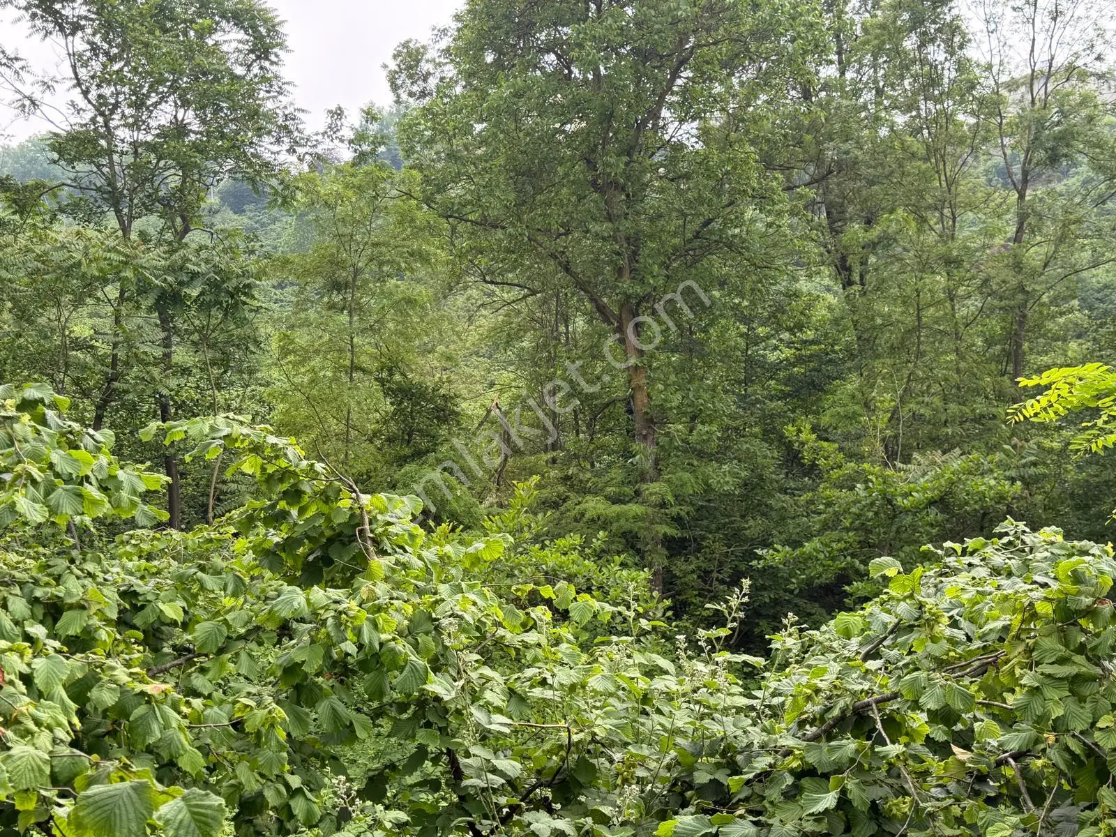 Uğurlu Da Satılık 2,5 Kat İmarlı Arsa - Görsel 5