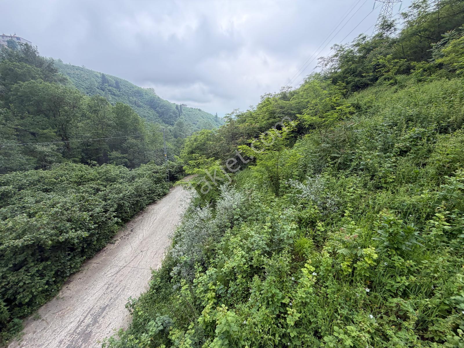 Uğurlu Da Satılık 2,5 Kat İmarlı Arsa - Görsel 11
